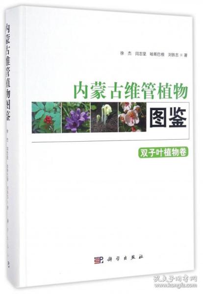 内蒙古维管植物图鉴(双子叶植物卷)(精)