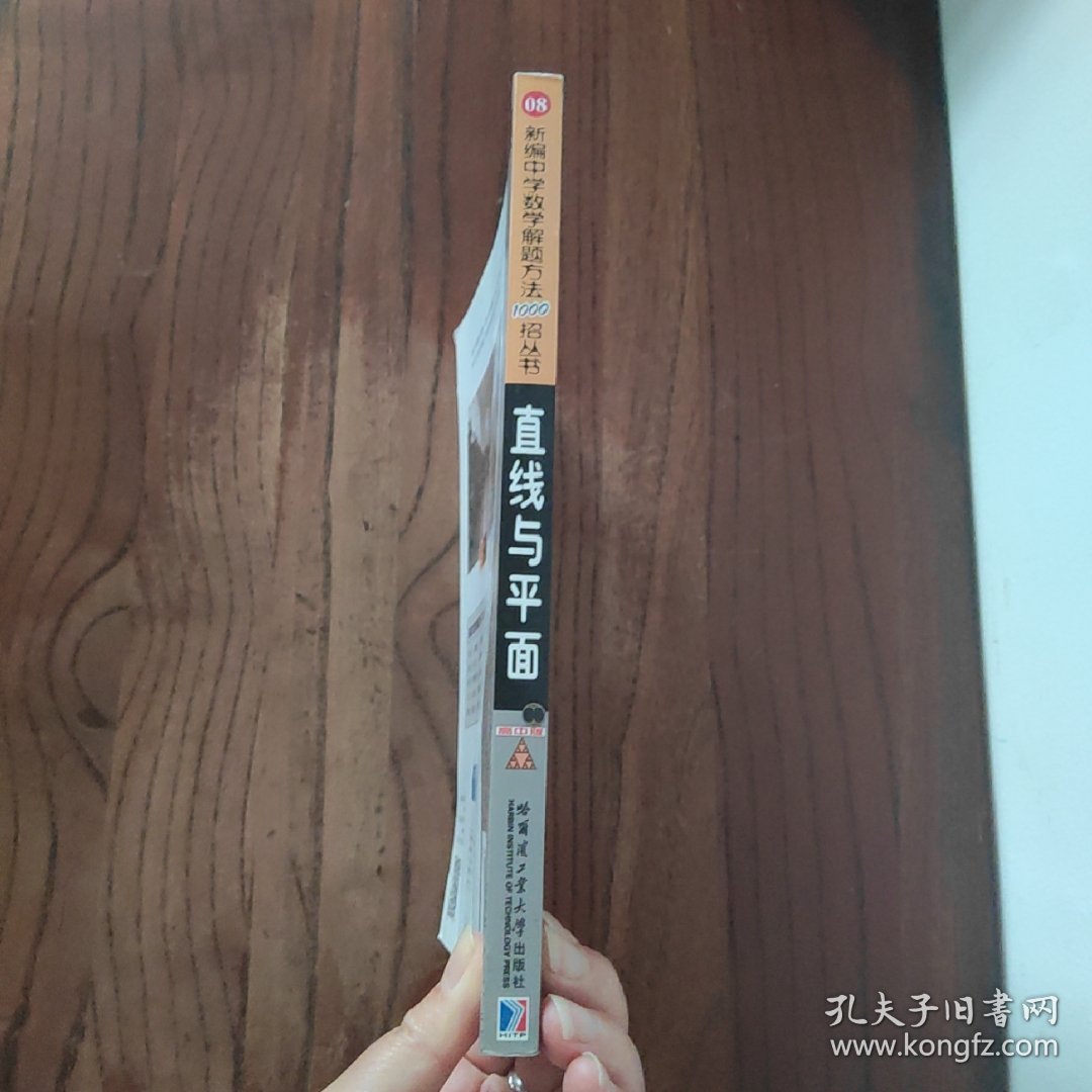 新编中学解题方法1000招丛书：直线与平面 (高中版) 哈尔滨工业大学出版社 刘培杰 著 9787560344775
