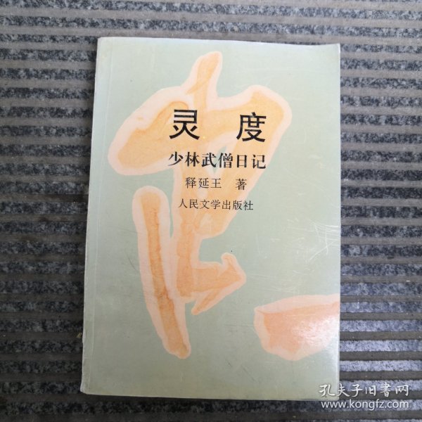 灵度:少林武僧日记