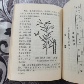 药物治疗手册