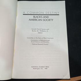 Blacks and American Society