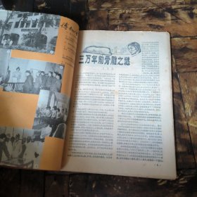 化石1982年1~4期（季刊，全年合售）
