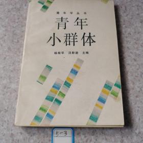 青年小群體