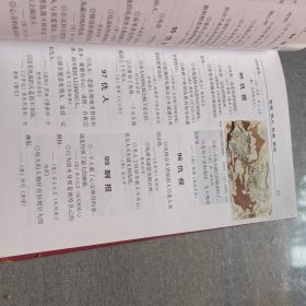 见解大辞典:豪华彩色插图本