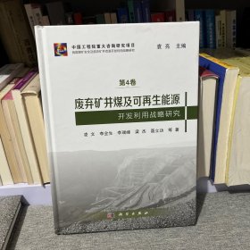 废弃矿井煤及可再生能源开发利用战略研究