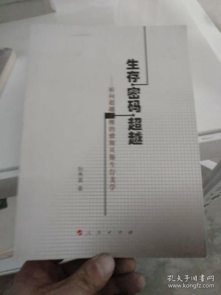 生存·密码·超越：祈向超越之维德雅斯贝斯生存美学