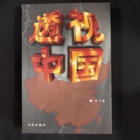 透视中国 第三卷