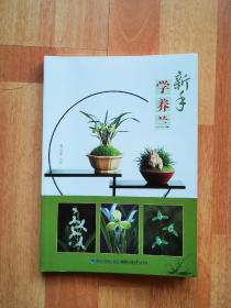 新手学养兰
