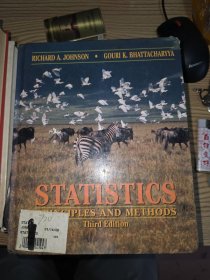 statistics principles and 统计原理与方法