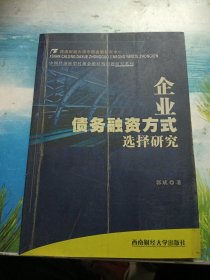 企业债务融资方式选择研究