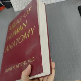 ATLAS OF HUMAN ANATOMY  详细见图