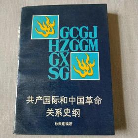 共产国际和中国革命关系史纲(内页干净没有阅读痕迹)