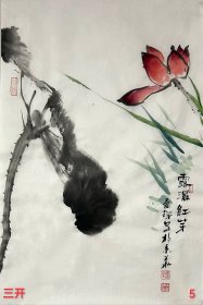 省美协会员文联会员李老师原创现代水墨花鸟