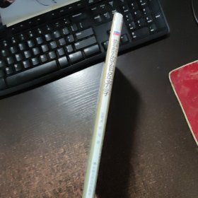 普京政治经济学