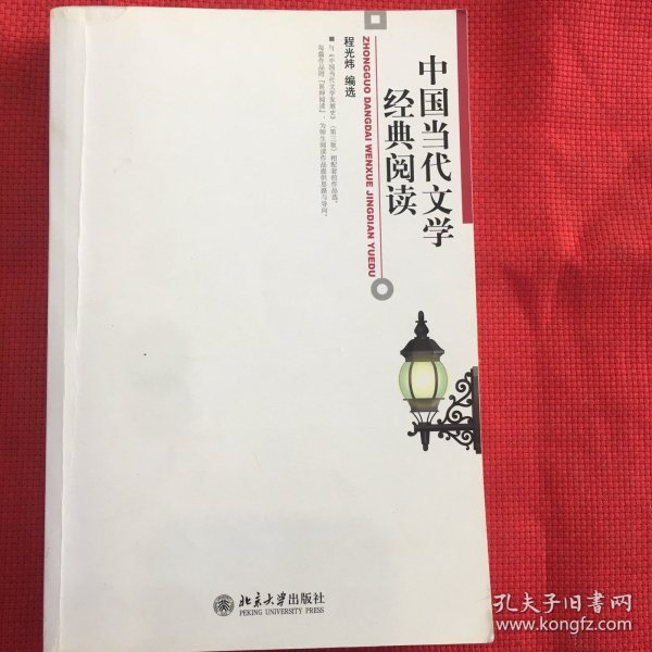 中国当代文学经典阅读