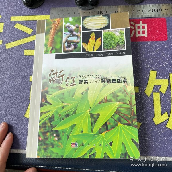 浙江野菜100种精选图谱