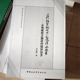 嘉应学院中国语言文学科学学术丛书·近代转型视阈下的晚清小说家：从传统的士到近代知识分子