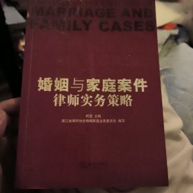 婚姻与家庭案件律师实务策略