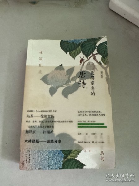 林深见鹿：美得窒息的唐诗