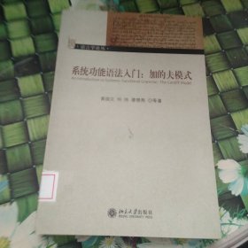 系统功能语法入门：加的夫模式 馆藏正版无笔迹