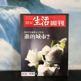 三联生活周刊2010年第48期