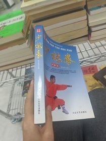 图解版：少林拳
