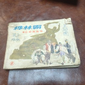 桦林霸 1985年一版一印书品见图(内页缺一张)