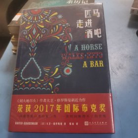 大卫·格罗斯曼作品系列：一匹马走进酒吧（精装）