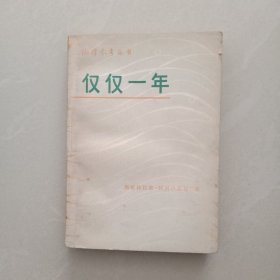 仅仅一年