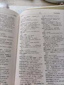 冰岛语词典