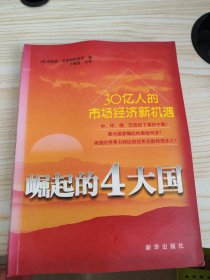 30亿人的市场经济新机遇：崛起的4大国