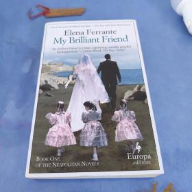 My Brilliant Friend：Neapolitan Novels, Book One