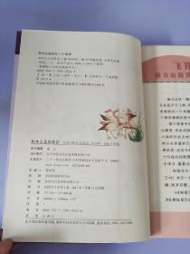 新课标小学语文阅读丛书：吹牛大王历险记（彩绘注音版）