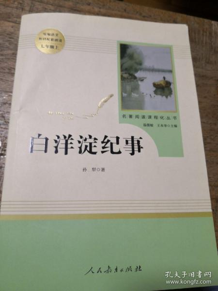 白洋淀纪事 名著阅读课程化丛书（统编语文教材配套阅读）七年级上