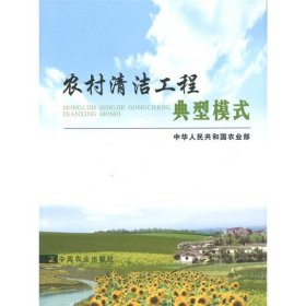【正版书籍】农村清洁工程典型模式