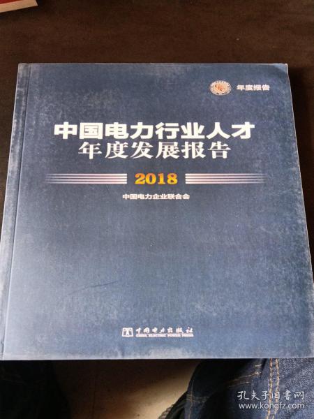 中国电力行业人才年度发展报告2018