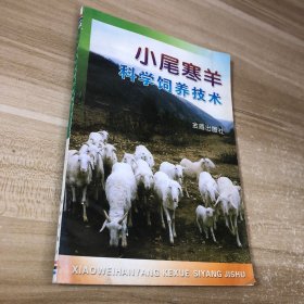 小尾寒羊科学饲养技术