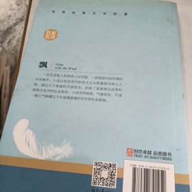 飘 中小学生课外阅读书籍世界经典文学名著青少年儿童文学读物故事书名家名译原汁原味读原著