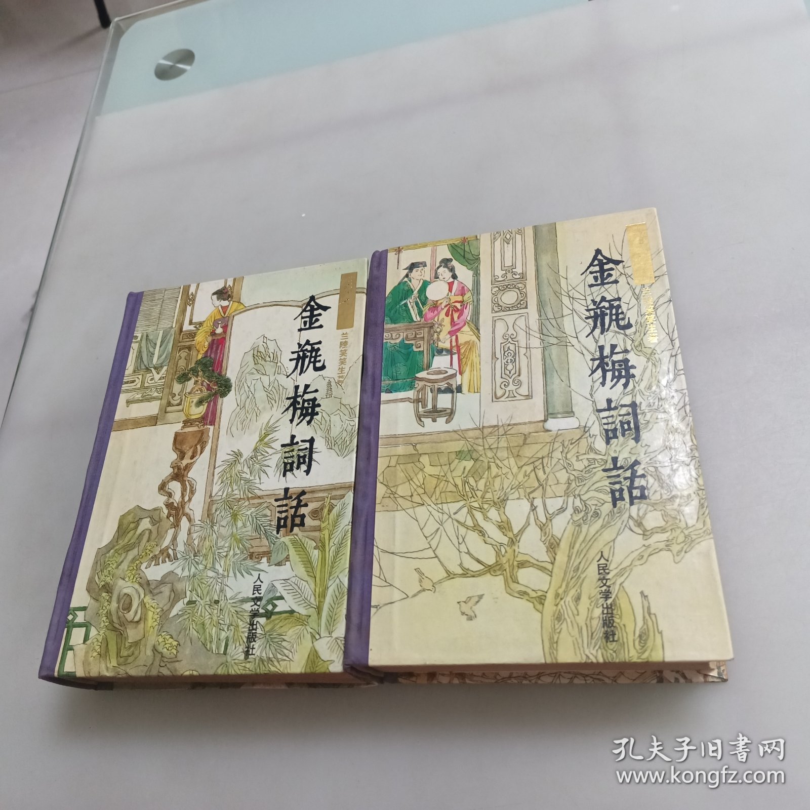 金瓶梅词话（上下册）