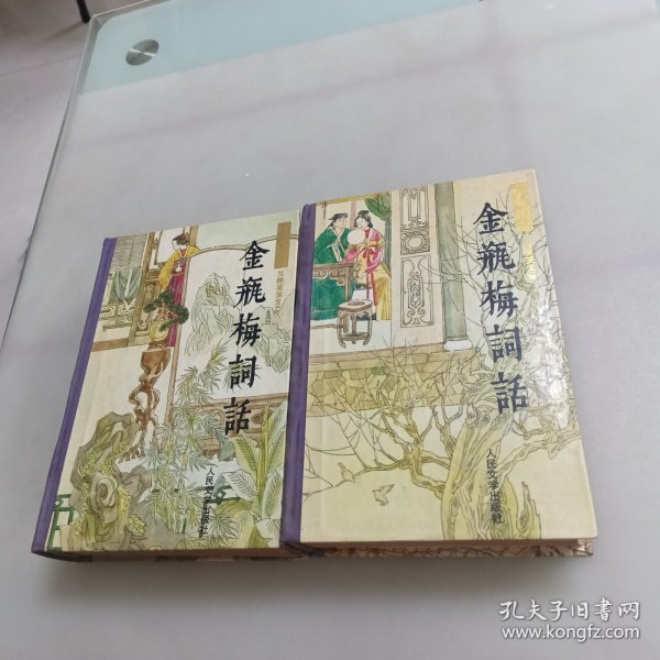 金瓶梅词话（上下册）