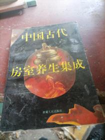 中国古代房室养生集成