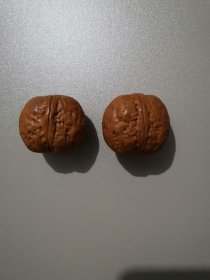 椭圆光球核桃
