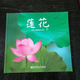 莲花