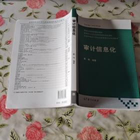 审计信息化/高等学校会计学与财务管理专业系列教材