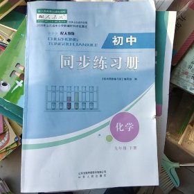 初中同步练习册化学九年级下册