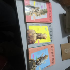 中国神秘文化研究丛书：楞严大义今释、如何修正佛法、金刚经说什么（3册合售）【正版现货】【无写划】【实拍图发货】【当天 发货】