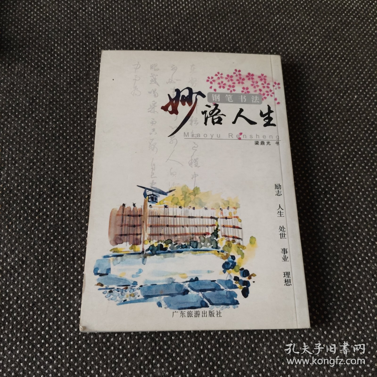 钢笔书法：红楼梦诗词