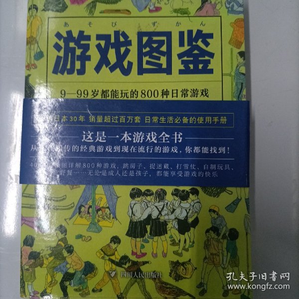 游戏图鉴：9-99岁都能玩的800种日常游戏