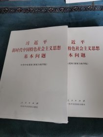 习近平新时代中国特色社会主义思想基本问题