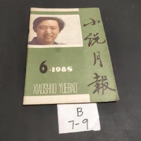 小说月报 1985 6